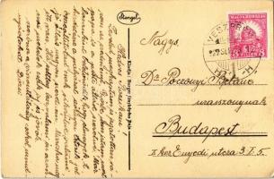 1927 Baja, Kamarás Duna