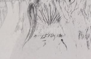 Ismeretlen jelzéssel: Indián törzsfőnök. Nyomat, jelzett a nyomaton, üvegezett keretben. 35,5x28 cm