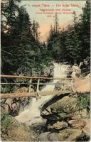 1909 Tátra, Magas-Tátra, Vysoké Tatry; Nagytarpatak felső vízesése, fahíd. Divald Károly műintézete 1447-1908. / Gross Kolbach oberer Wasserfall / Velká Studená dolina / waterfall, wooden bridge