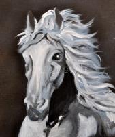 Jelzés nélkül: Fehér paripa. Olaj, vászon, 60×50 cm