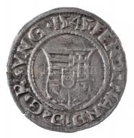 1545K-B Denár Ag "I. Ferdinánd" (0,57g) T:1-
Hungary 1545K-B Denar Ag "Ferdinand I&q...