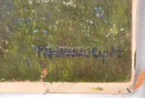 Herman jelzéssel: Vízparti táj. Olaj, papír, üvegezett, enyhén sérült fa keretben, 15×21 cm