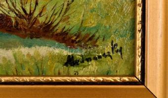 Mednánszky jelzéssel: Őszi táj. Olaj, karton, sérült. Fa keretben, 20,5×25,5 cm