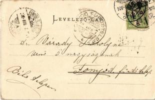 1906 Szebenjuharos, Hohe Rinne, Paltinis; nyaralók. G.A. Seraphin, Jos. Drotleff / villas (kis szaka...