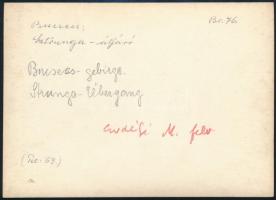 cca 1910 Bucsecs-hegység, Strunga-átjáró, Erdélyi Mór felvétele, hátulján feliratozva, 11,5×16 cm / ...