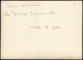 cca 1910 Tömösi-szoros, Erdélyi Mór (1866-1934) felvétele, hátulján feliratozva, 11,5×16 cm / Pasul ...