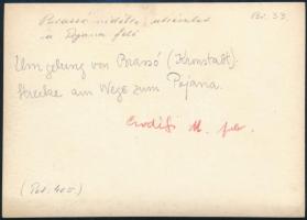 cca 1910 Brassó környéke, útrészlet Pojána felé, Erdélyi Mór felvétele, hátulján feliratozva, 11,5×1...