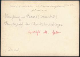 cca 1910 Brassó környéke, a Keresztényhavas, Erdélyi Mór felvétele, hátulján feliratozva, 11,5×16 cm...