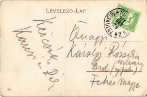 1911 Feled, Veladin, Jesenské; Feled és Vidéke fogyasztási és értékesítő szövetkezet üzlete / cooper...