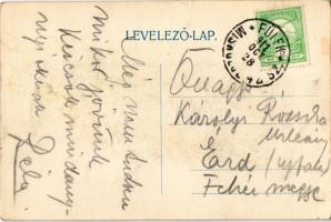 1911 Feled, Veladin, Jesenské; látkép / general view