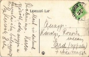 1911 Feled, Veladin, Jesenské; Felső utca, Klein üzlete / street, shop (EK)