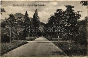 1908 Nagybánya, Baia Mare; Széchenyi liget. Kovács Gyula kiadása / park