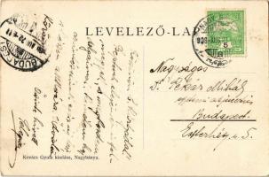 1908 Nagybánya, Baia Mare; Széchenyi liget. Kovács Gyula kiadása / park