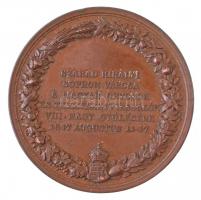 Josef Daniel Boehm (1794-1865) 1847. "Szabad Királyi Sopron Városa A Magyar Orvosok és Természe...