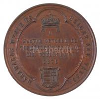 Wenzel Seidan (1817-1870) 1876. "Máramaros Megye és Sziget Kor. Városa a Magyar Orvosok és Term...