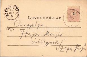 1899 Diósgyőr (Miskolc), Diósgyőri várrom. Kiadja Lövy József