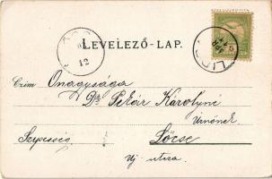 1903 Lippa, Lipova; Solymoser Ruine, Solymosi vár, Lippa és a Maros folyó, Máriaradnai kegytemplom. ...