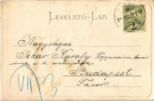 1904 Zboró, Zborov; vár, várrom. Eschwig Ede F. kiadása / Zborovsky hrad / castle ruins (fa)