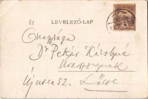 Csejte, Csejthe, Cachtice; Báthory vár. A. Bernas / Hrad Báthorovcov / castle  (EK)