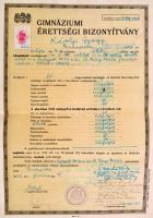 cca 1889-1946 A Károlyi család papírhagyatéka (Zsidó Világkongresszus kutatólapja, jegyzőkönyv, útle...