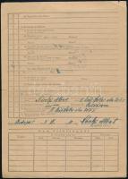 cca 1889-1946 A Károlyi család papírhagyatéka (Zsidó Világkongresszus kutatólapja, jegyzőkönyv, útle...