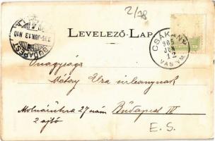 1905 Lugos, Lugoj; Városi színház. Nemes Kálmán kiadása / theatre