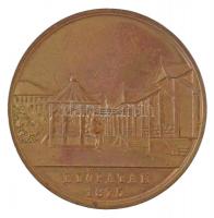 1875. "A magyar orvosok és természet vizsgálók XVIII. nagy gyűlésének / Előpatak 1875" ara...