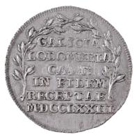 Habsburg Monarchia 1773. "Galícia hódolata Mária Terézia előtt" Ag zseton. "GALICIA -...