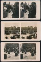 cca 1910 Meissen, Berlin, München, 3 db sztereófotó, 9×18 cm