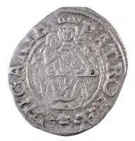 1577K-B Denár Ag "Miksa" (0,70g) T:2
Hungary 1577K-B Denar Ag "Maximilian" (0,7...