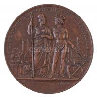 Wenzel Seidan (1817-1870) 1874. "A Magyar Orvosok és Természetvizsgálók XVII. nagygyűlése emlék...