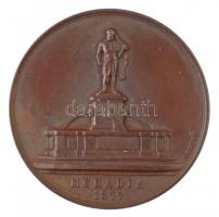 Wenzel Seidan (1817-1870) 1872. "Mehadia / A Magyar Orvosok és Természetvizsgálók XVI-ik Nagygy...