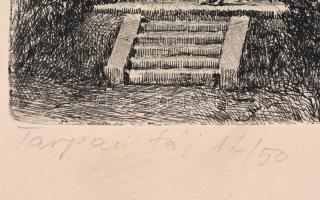 Csisztu Mihály (1933-2008): Tarpai táj, rézkarc, papír, jelzett, számozott (12/50), jobb felső sarká...