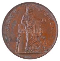 Josef Daniel Boehm (1794-1865) 1843. "Gazdagítva boldogít / Sz. K. Temesvár Városa Á. M. Orvoso...