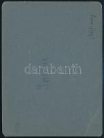1910 Hazai Vasutak igazolvány mintája, országgyűlési képviselő részére, az 1910. jún. 21.-re összehí...