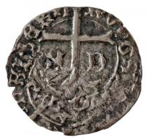 1438-1440. Denár Ag Albert (0,48g) T:2- Hungary 1438-1440. Denar Ag Albert (0,48g) C:VF Huszár: 592., Unger I.: 461.c