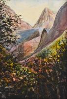 Jelzés nélkül: Hegyvidéki táj. Akvarell, papír, sérült fa keretben, 28×19,5 cm