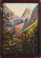 Jelzés nélkül: Hegyvidéki táj. Akvarell, papír, sérült fa keretben, 28×19,5 cm