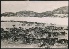 1955 Osló, Téli olimpiáról küldött üdvözlő képeslap Pongrácz Kálmán (1898-1980) Budapest főpolgármes...