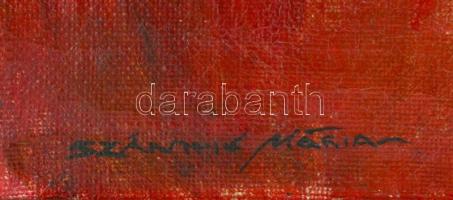 Szánthó jelzéssel: Akt. Olaj, vászon, fa keretben, 80x60 cm