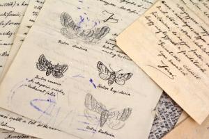 1922-1926 ifj. Szent-Ivány József (1910-1988) entomológus, id. Szent-Ivány József (1884-1941) politi...