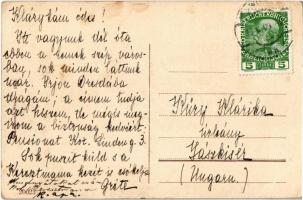 Wien, Vienna, Bécs VI. Theater a.d. Wien, Magdalenenstrasse, Grenat, Cafe Siedek, Volks Weinhalle / ...