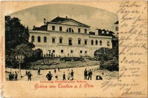 1900 Cieszyn, Teschen a. d. Olsa; Erzherzog Friedrichsches Schloss / castle. Ed. Feitzinger Nr. 105. (EK)