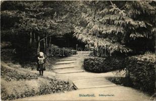 1910 Stószfürdő, Stoósz-fürdő, Kúpele Stós; Sétány részlet. Wlaszlovits Gusztáv 5019. / promenade (ázott sarkak / wet corners)