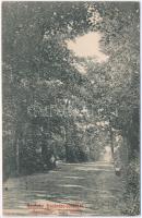 1909 Szobránc, Szobráncfürdő, Kúpele Sobrance; Szerelmes erdei sétány. Ignáczy Géza fényképész kiadása / romantic forest walkway (ázott / wet damage)