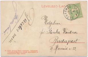 1909 Szobránc, Szobráncfürdő, Kúpele Sobrance;  "Szerelmes" erdei sétány. Ignáczy Géza fén...