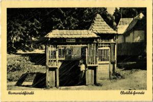Homoródfürdő, Baile Homorod (Szentegyháza, Vlahita); Clotild forrás / spring