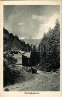 1942 Radnaborberek, Borberek-fürdő, Valea Vinului; fürdő, üdülő / spa, bath, holiday resort