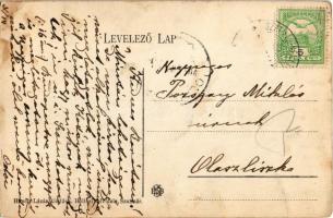 Szatmárhegy, Viile Satu Mare; Mándi és Lehoczky villa. Hirsch Lázár kiadása és Hollósi felvétele / v...