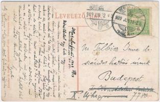 1909 Herkulesfürdő, Herkulesbad, Baile Herculane;  a fürdő központja, híd. Krizsány R. kiadása / spa...